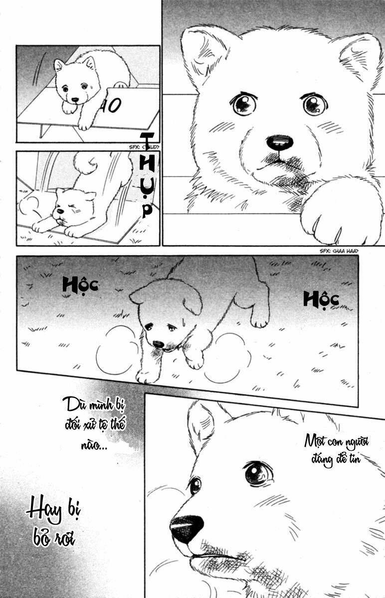 deep love - pao no monogatari chapter 6 33