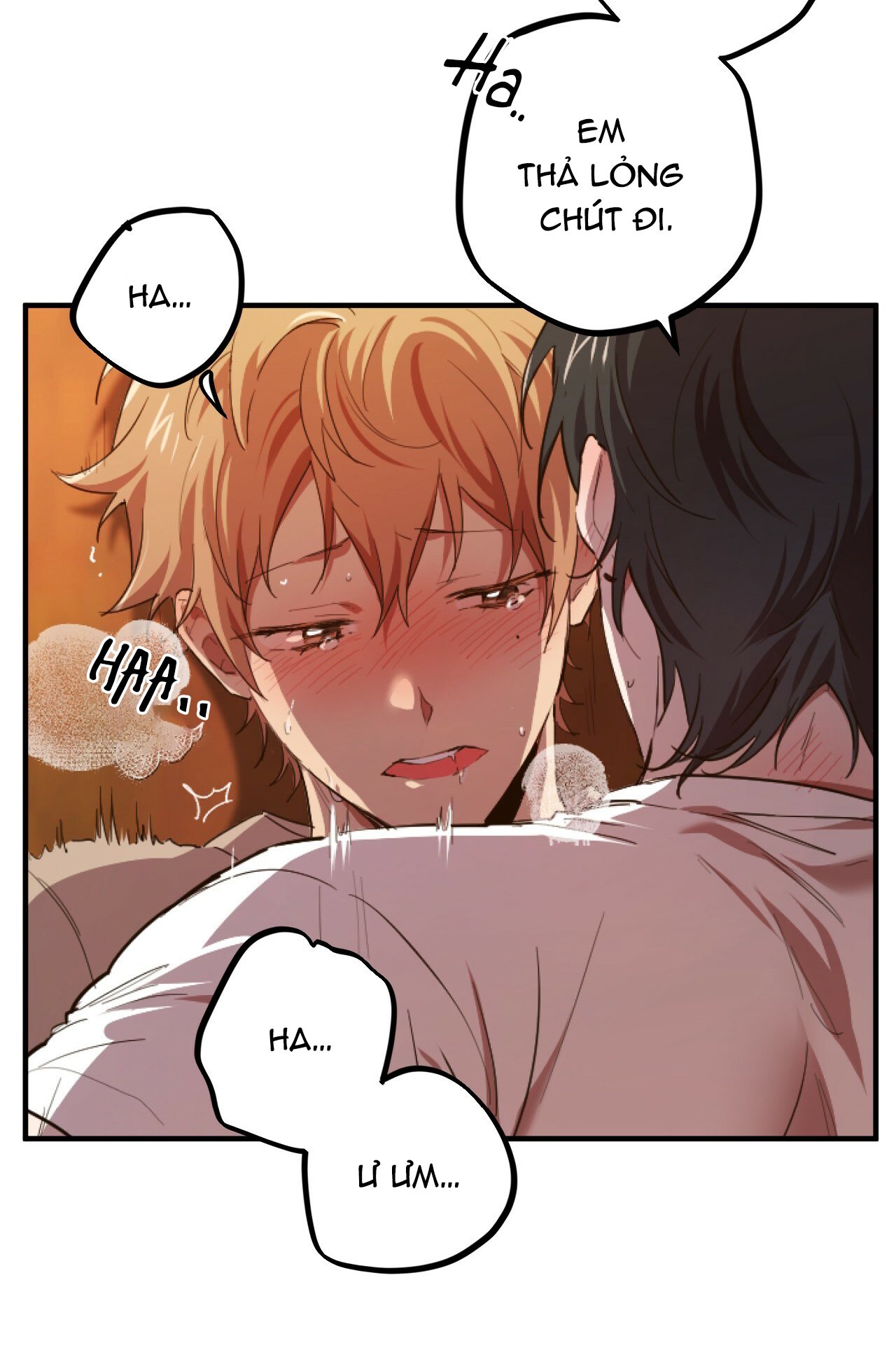 những chú thỏ của hapypy chapter 1 25