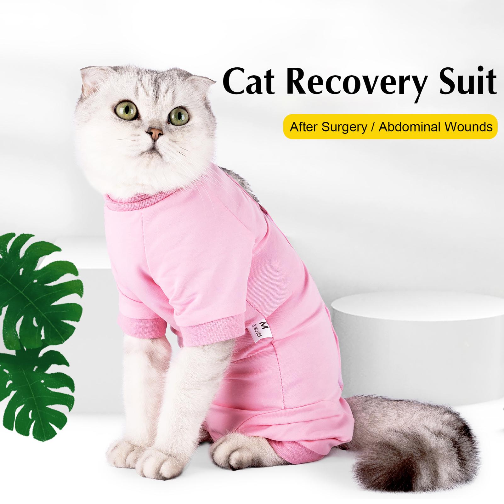 Bộ Đồ Phục Hồi Vết Thương Sau Khi Phẫu Thuật Cho Thú Cưng