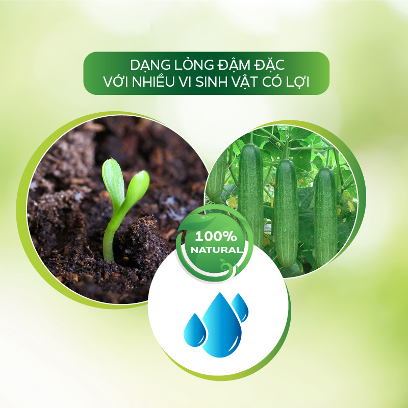 Nano Bạc Diệt Khuẩn Sinh Học AT Nano Elicitor 500ml, Siêu Đề Kháng, Ngừa Bệnh, Kích Thích Sinh Trưởng Ra Rễ Mới Cho Cây