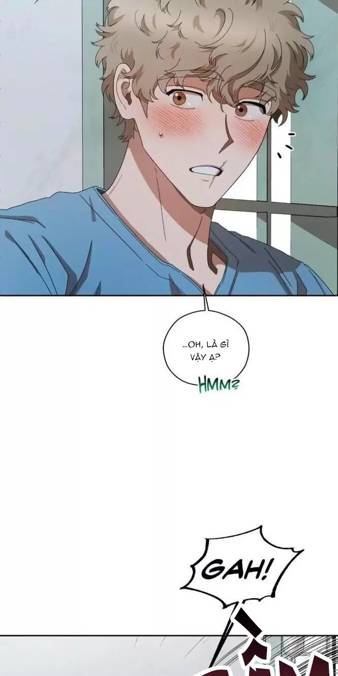 liveta chapter 31 72