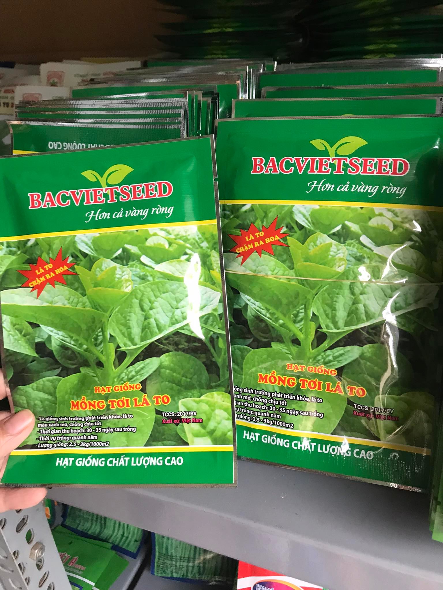 2 Gói Hạt giống Mồng Tơi Xanh Lá to gói 20gr