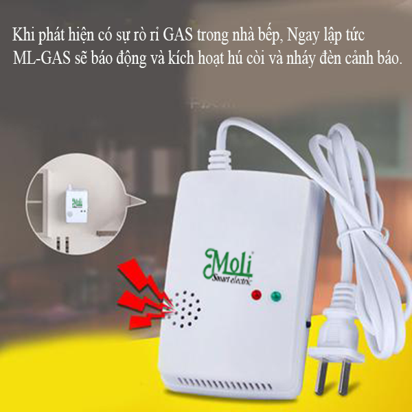 CẢM BIẾN RÒ RỈ GAS MOLI