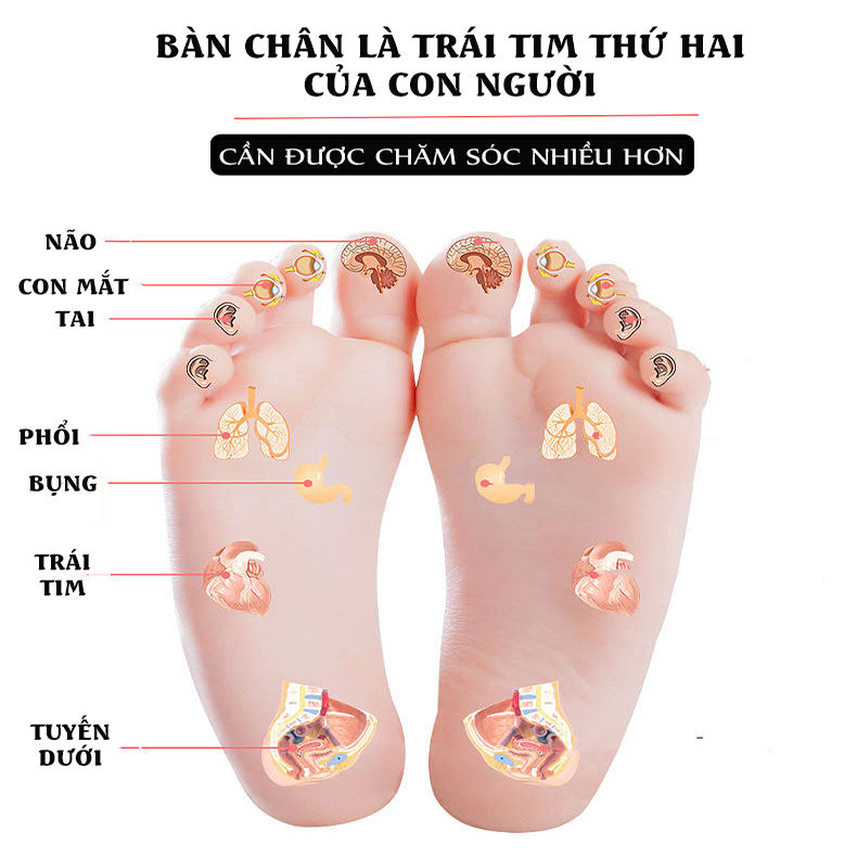 Thảm Massage Chân Xung Điện Có Remote Điều Khiển 19 Cấp Độ, 8 Chế Độ Massage