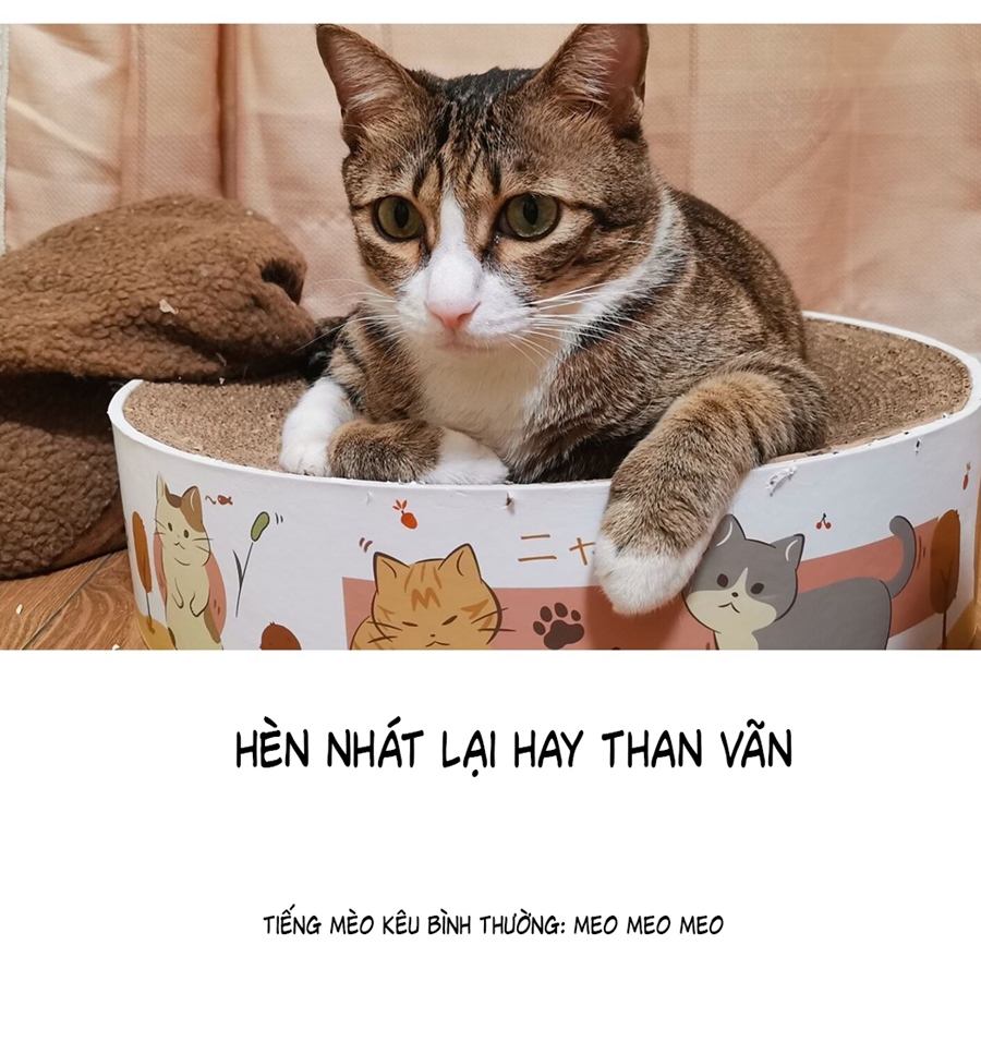 đừng nói yêu tôi chapter 52.1 4