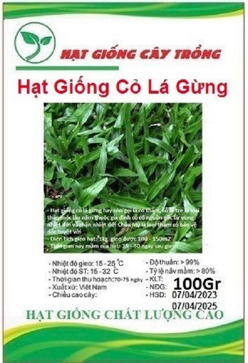 100Gr - Hạt Giống Cỏ Lá Gừng - Cỏ Lá Tre 4 Mùa Làm Thảm Cỏ - Siêu Nảy Mầm