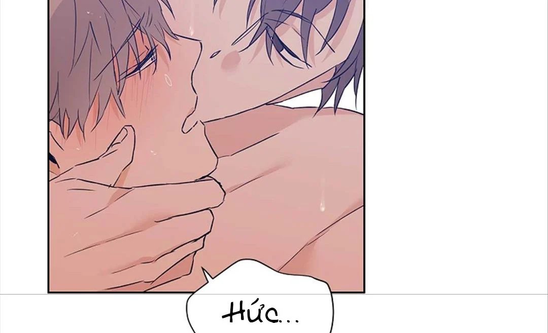 guide cấp b chapter 29 68