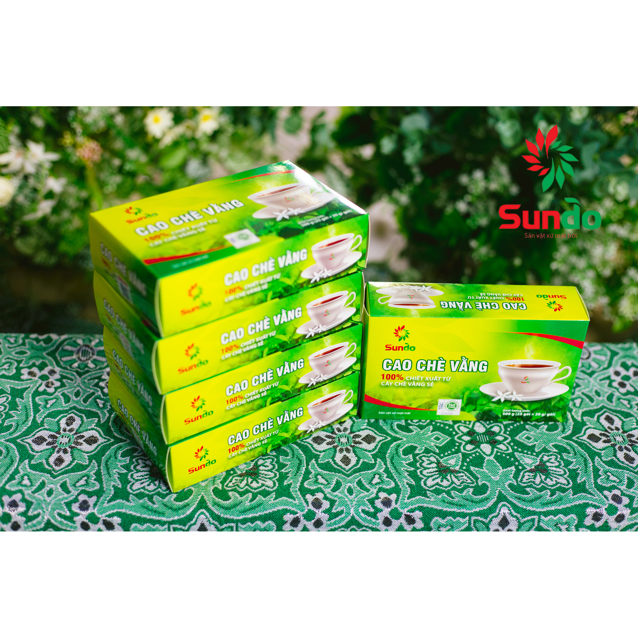 Cao chè vằng Sundo