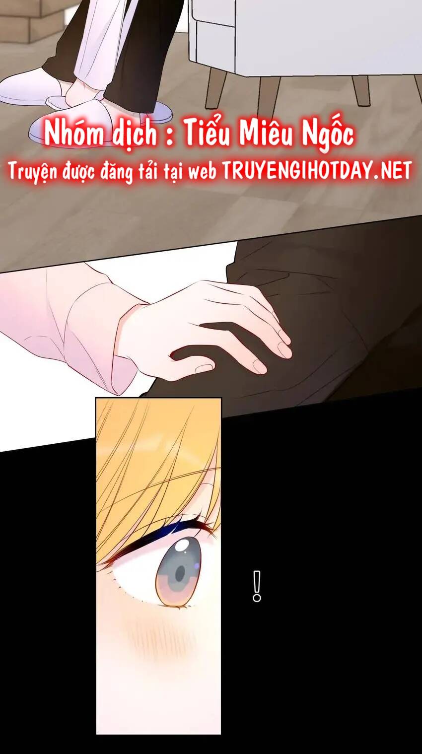 vì sao của tôi chapter 148 35