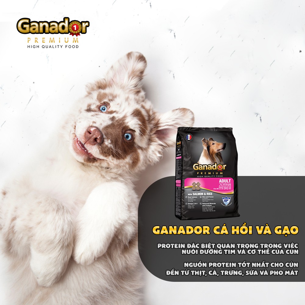 Thức ăn Ganador cho chó trưởng thành vị cá hồi và gạo Adult with Salmon &amp; Rice 400g