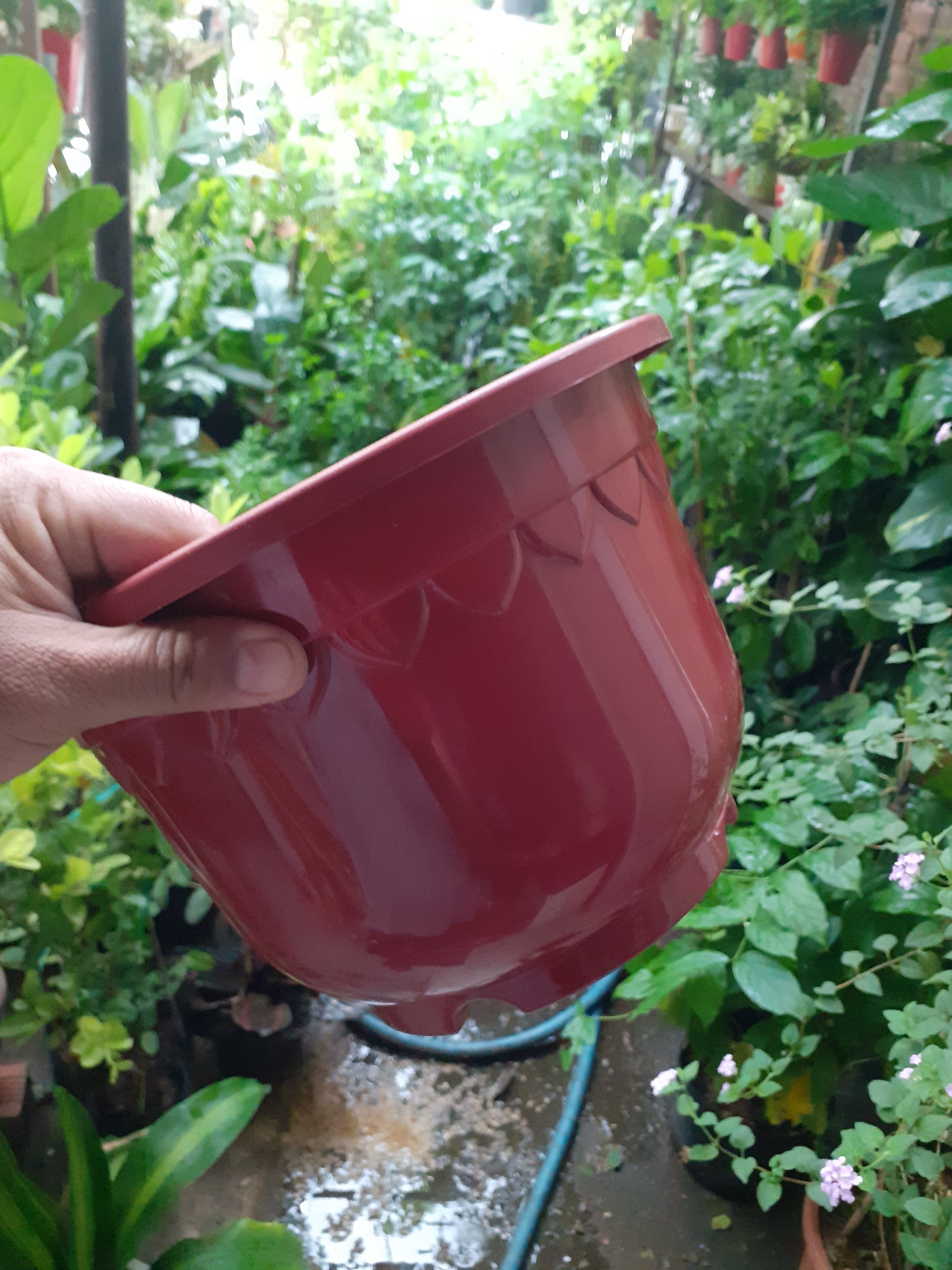1 cái Chậu nhựa Tròn đỏ Đô dày bền trồng cây.
