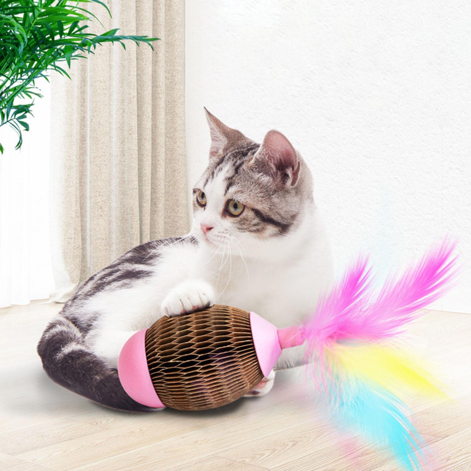 Toy Pet Exercise Toy Interactive Kitten Toys for Medium Small Cats