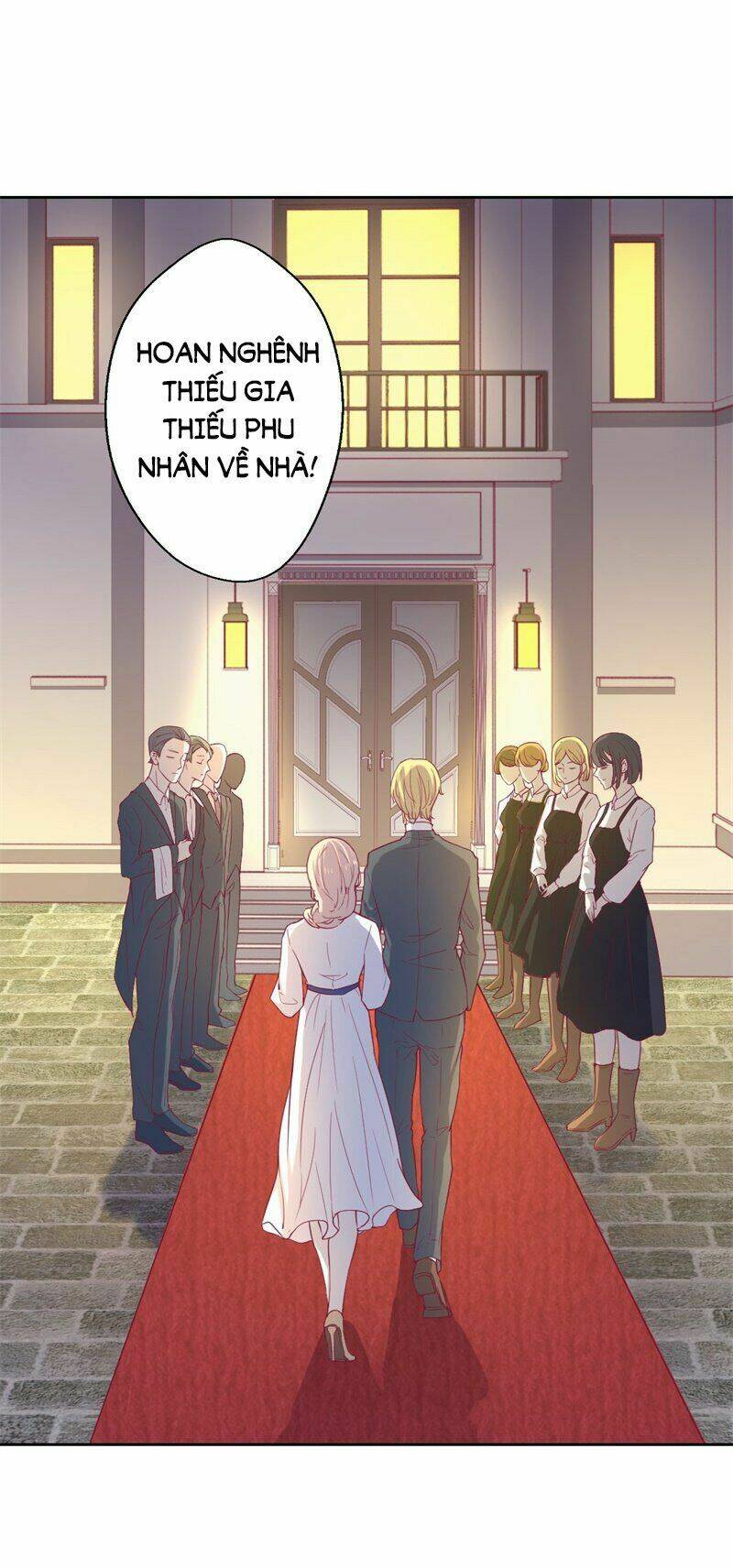 ngạo kiều tổng tài sủng điềm thê chapter 32 27