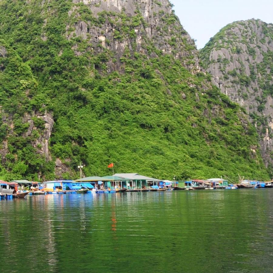 Tour Tham Quan Vịnh Hạ Long 1 Ngày Từ HN , Khởi Hành Hàng Ngày