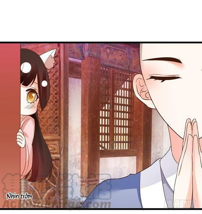 hồ tiên hung bạo chapter 64 68