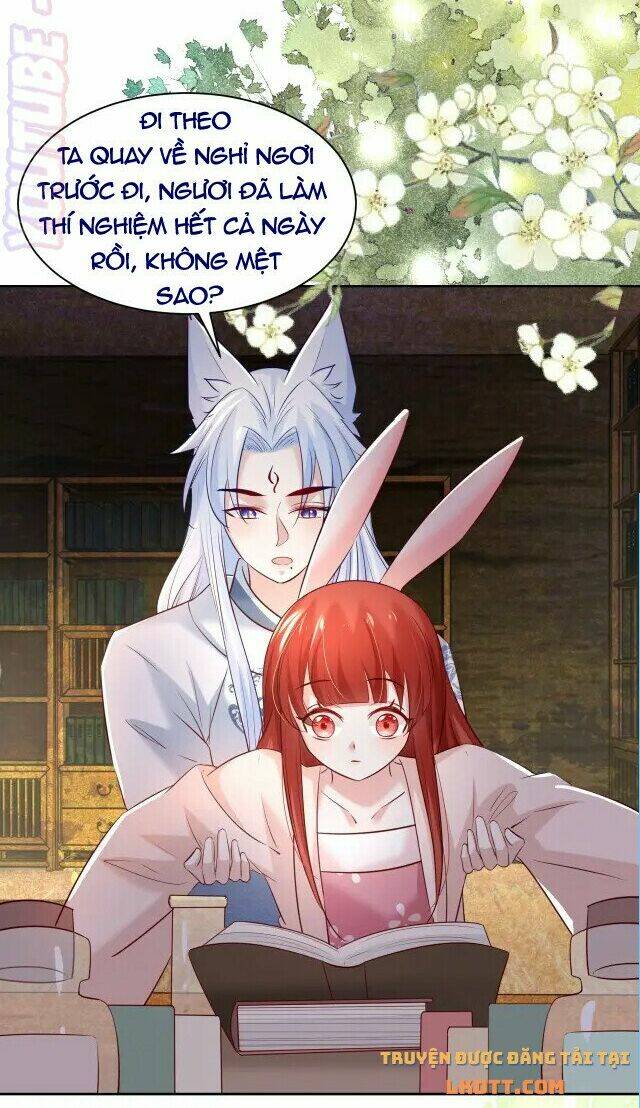 hắc hóa nam chính trực tuyến nuôi thỏ chapter 45 20