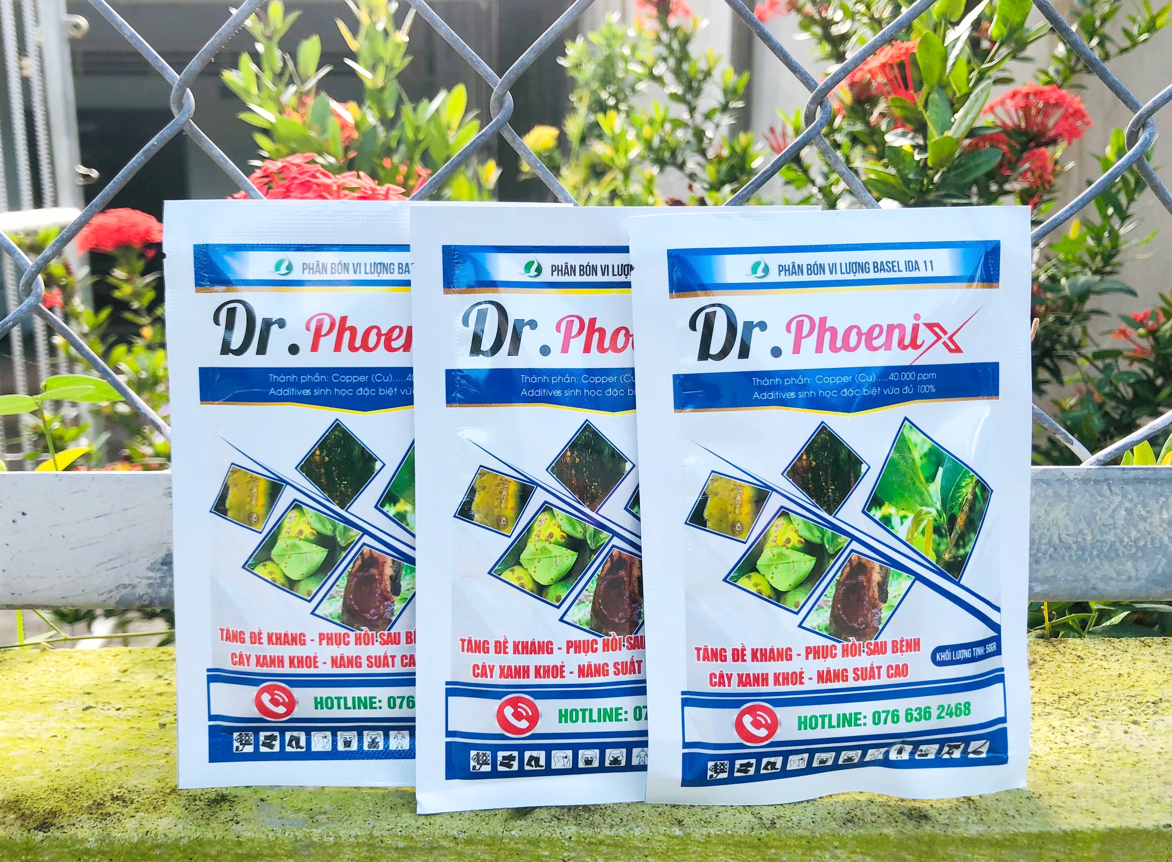 THUỐC ĐẶC TRỊ NẤM HỒNG CHO MAI VÀNG/CÂY KIỂNG - DR.PHOENIX GÓI 50GAM