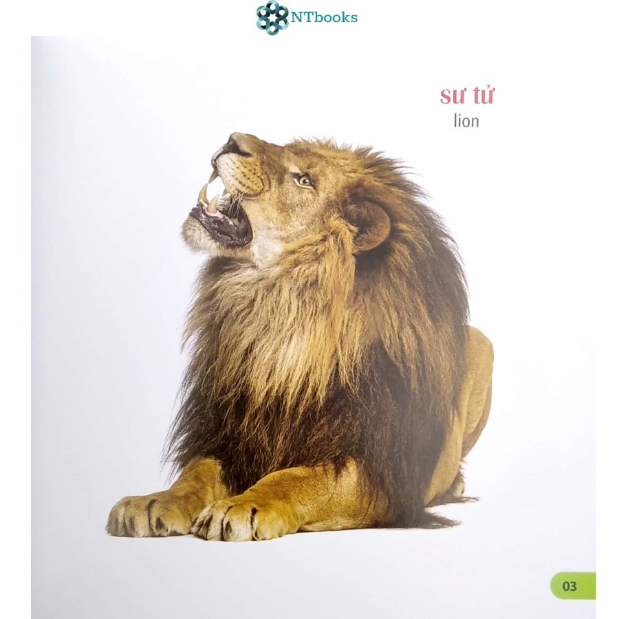 Sách 100 Từ Đầu Tiên Của Bé - Các Loài Vật