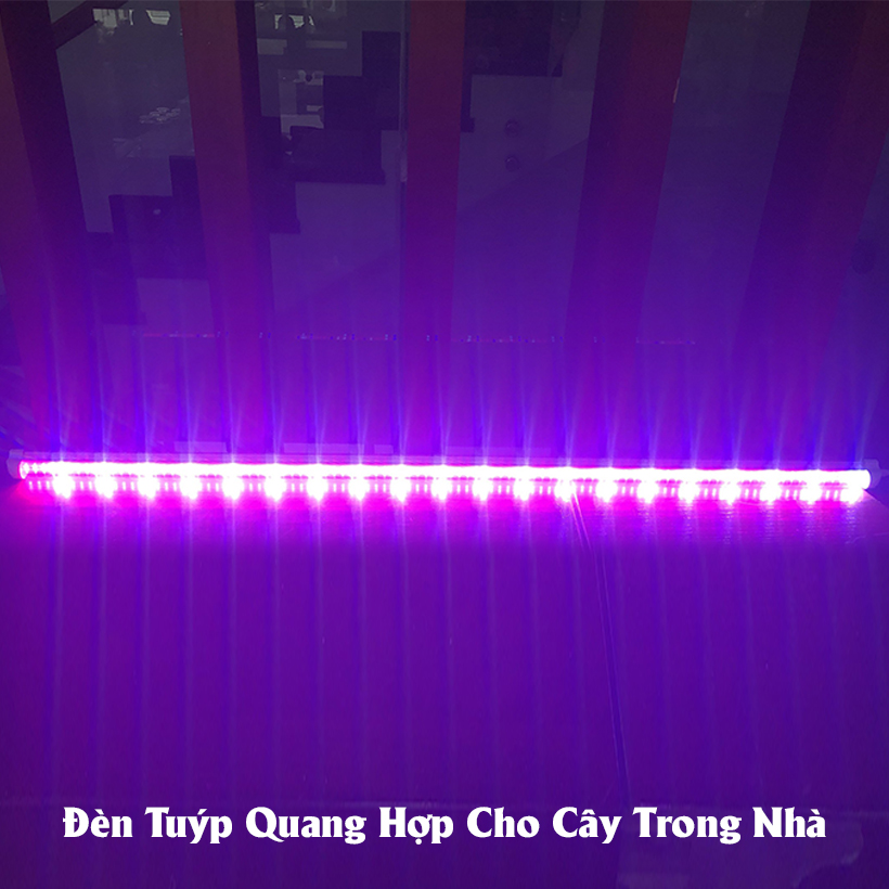 Đèn Quang Hợp Trồng Cây Trong Nhà Green Smart Light 30W (đèn dài 1.2 mét) được ứng dụng rộng rãi như trồng rau sạch tại nhà, trồng cây cảnh trong nhà, cây văn phòng, trồng rau thủy canh, các mô hình nuôi cây mô và cây con