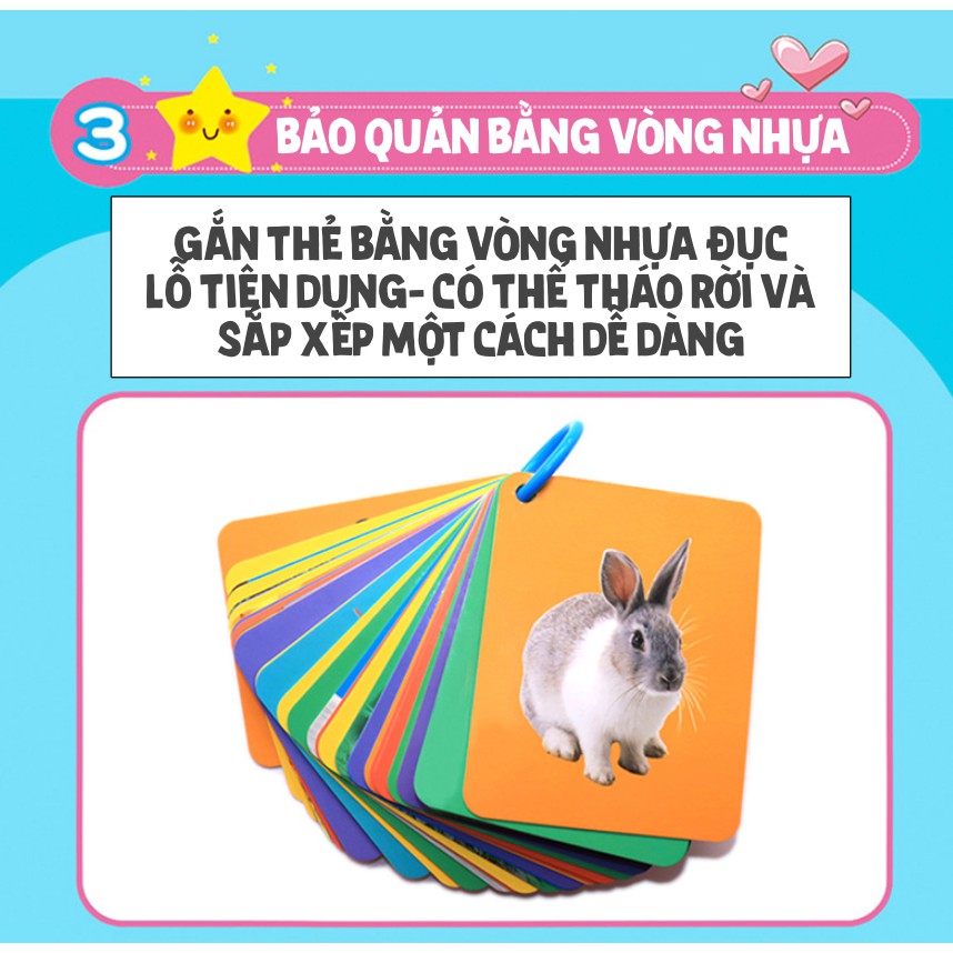 Thẻ Tập Tô Tranh Tự Bay Màu Nhiều Mẫu Hình Đa Dạng Có Thể Tái Sử Dụng - Màu Sắc Bắt Mắt, Rèn Luyện Kỹ Năng