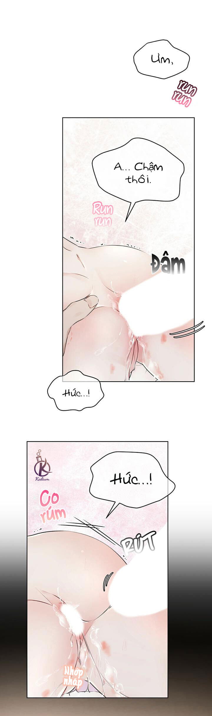 hình thái khởi sinh chapter 29 3