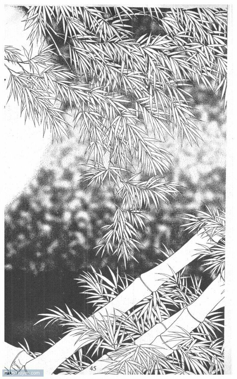 nàng tiên ánh trăng - kaguya hime chapter 13 43