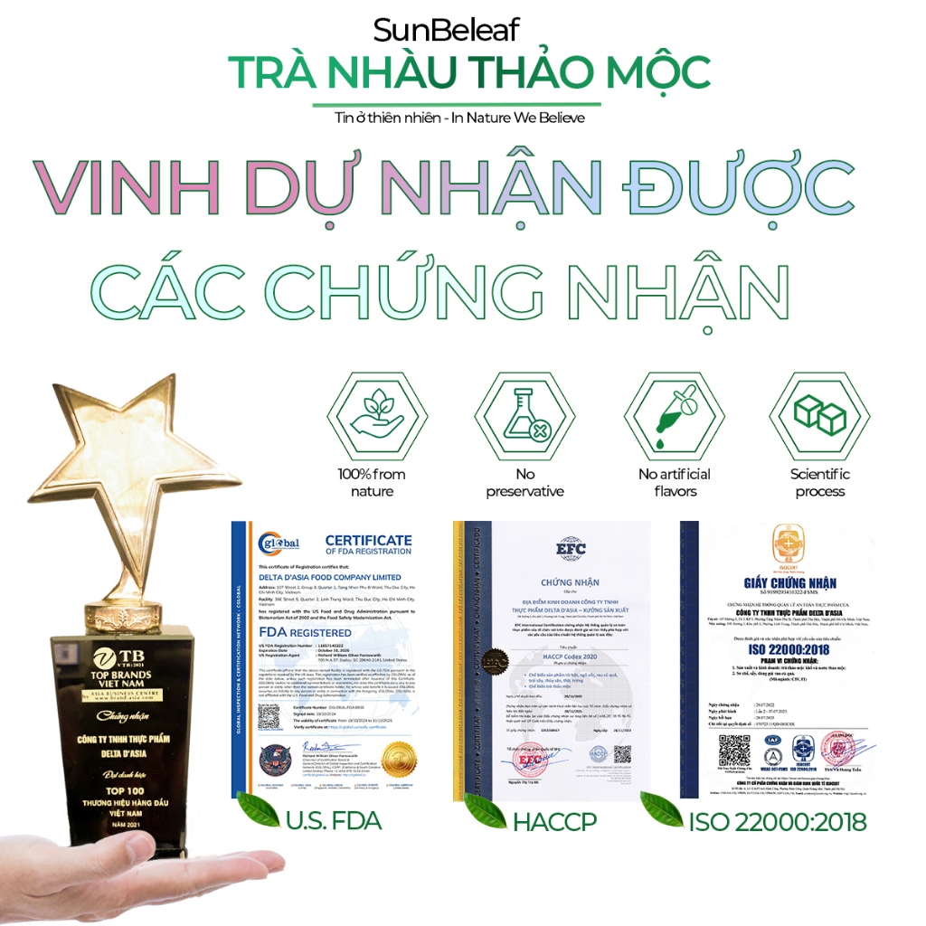 Trà Nhàu Rừng Sunbeleaf - Trà Thảo Mộc Giảm Đau Nhức Xương Khớp, Giảm Viêm, Đau Nhức Mãn Tính - Trà Túi Lọc Hộp 25 Gói