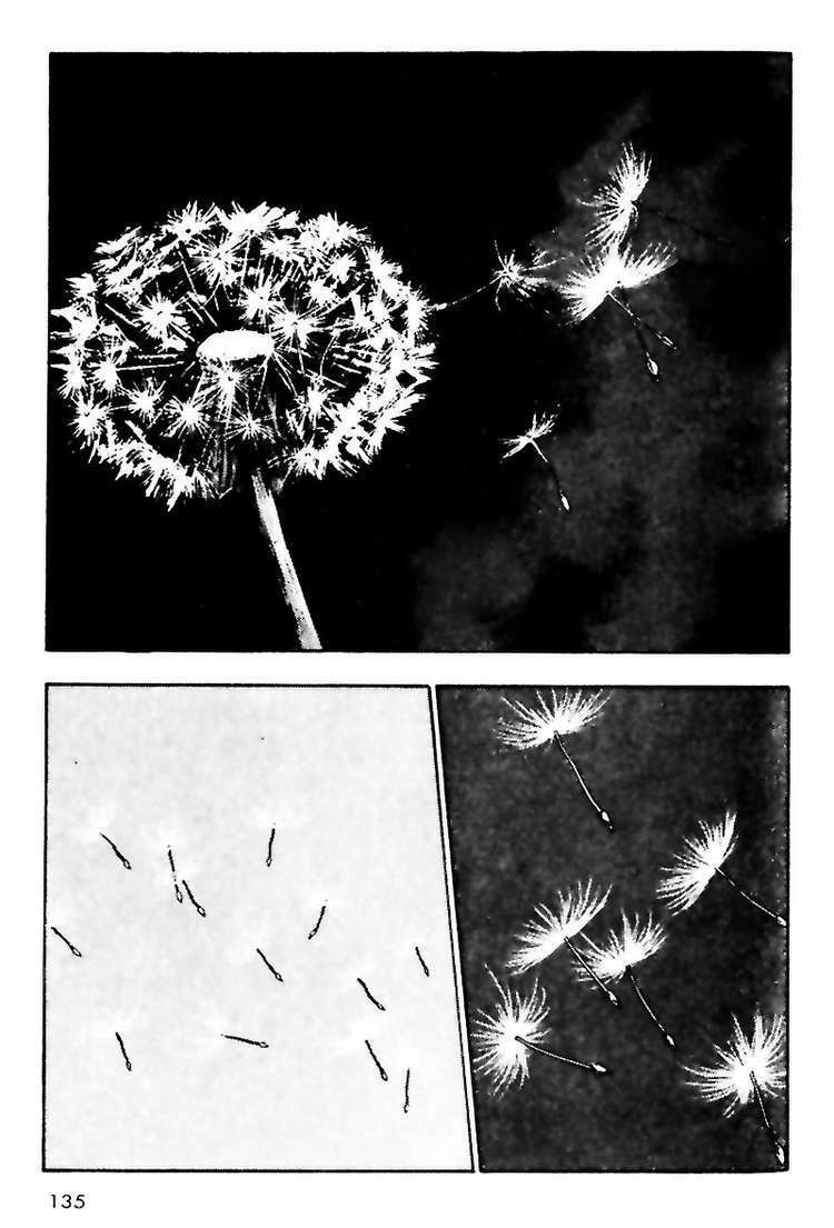 shamo (võ đạo) chapter 17 13