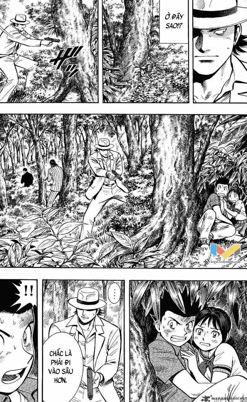 animal sense chapter 11 7