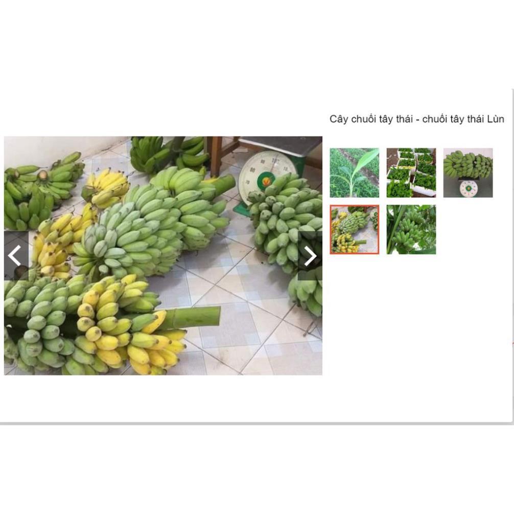 Sản phẩm Cây Ăn Trái cây chuối tây