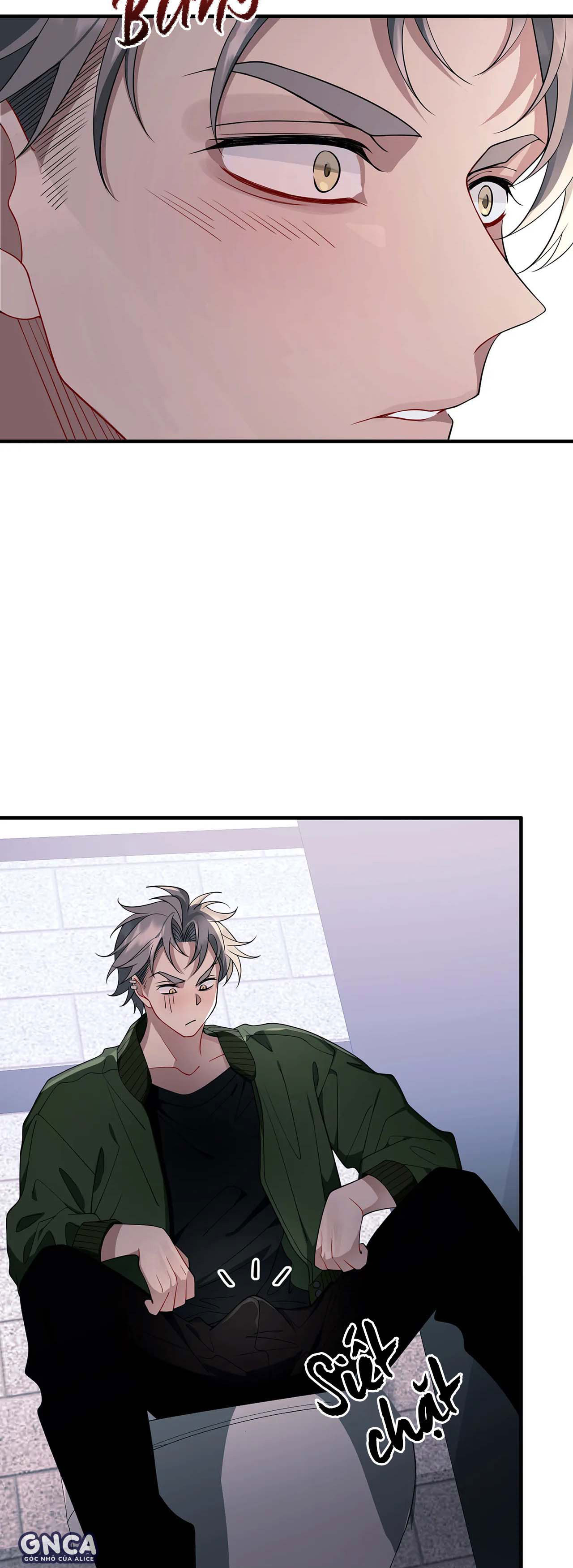 vết tích chapter 8 48