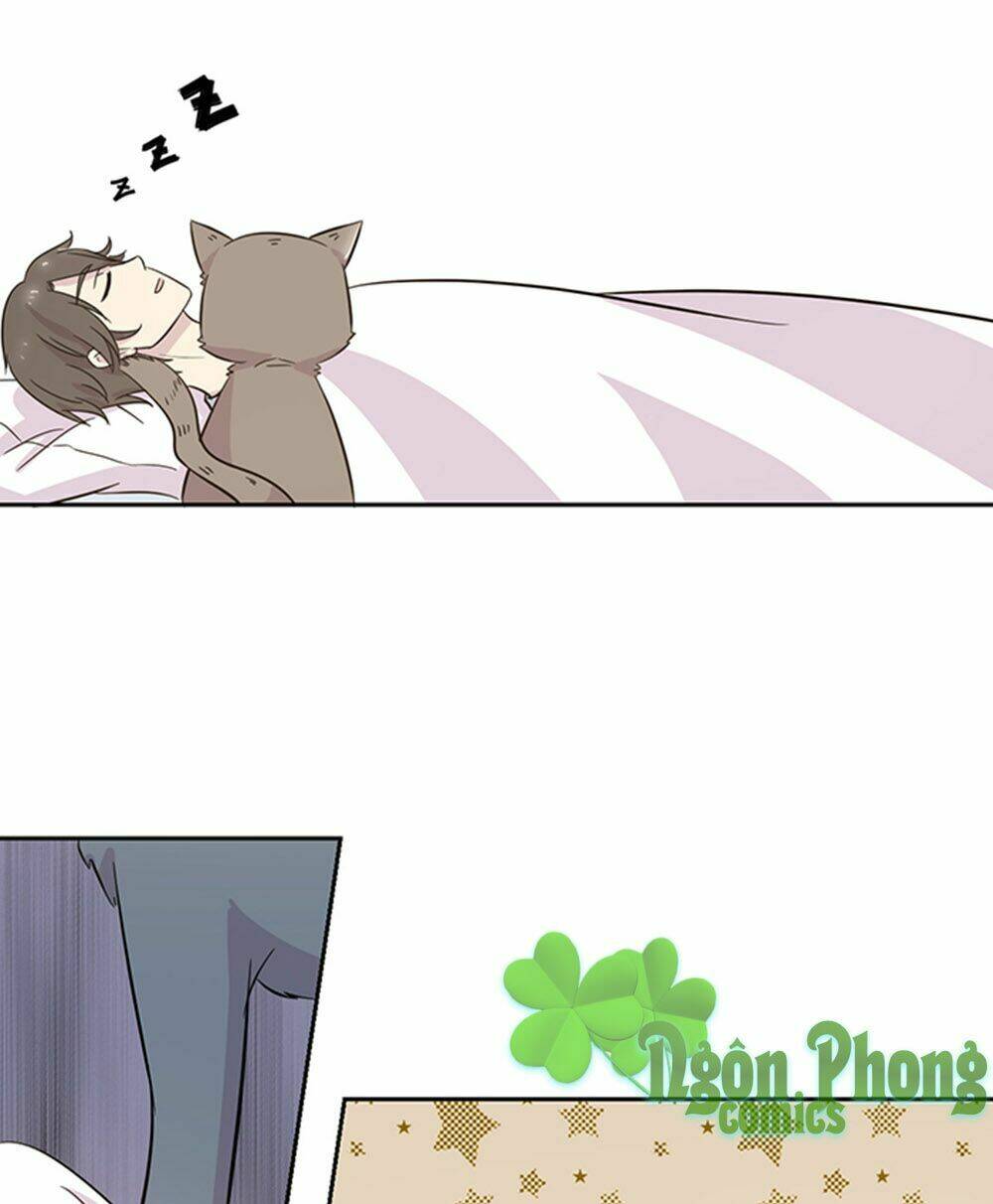 hai chú mèo totem chapter 19 13