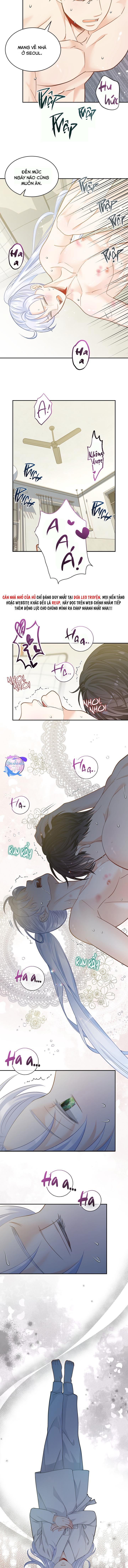 hôn nhân bị đánh cắp của hồ ly chapter 38 5
