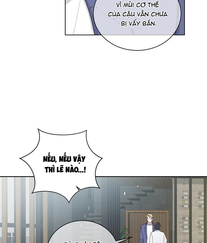 chàng tuấn mã của tôi chapter 21 12