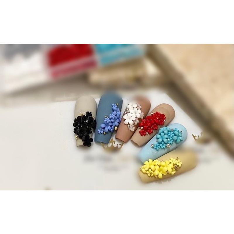 Sét hoa sứ và bi làm nail mix khay 6màu