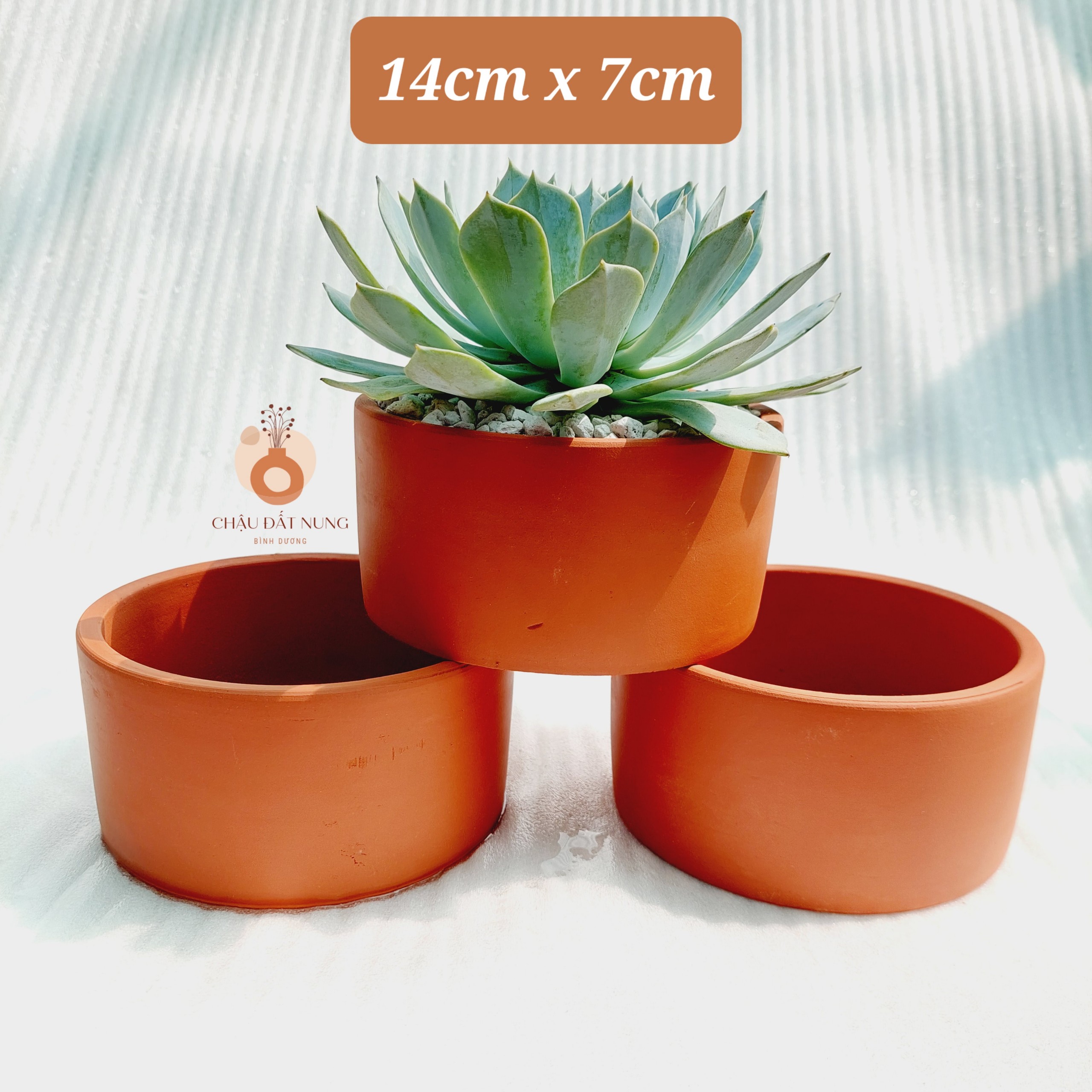 Chậu đất nung Bình Dương - Trụ 147, miệng chậu 14cm, chiều cao 7cm