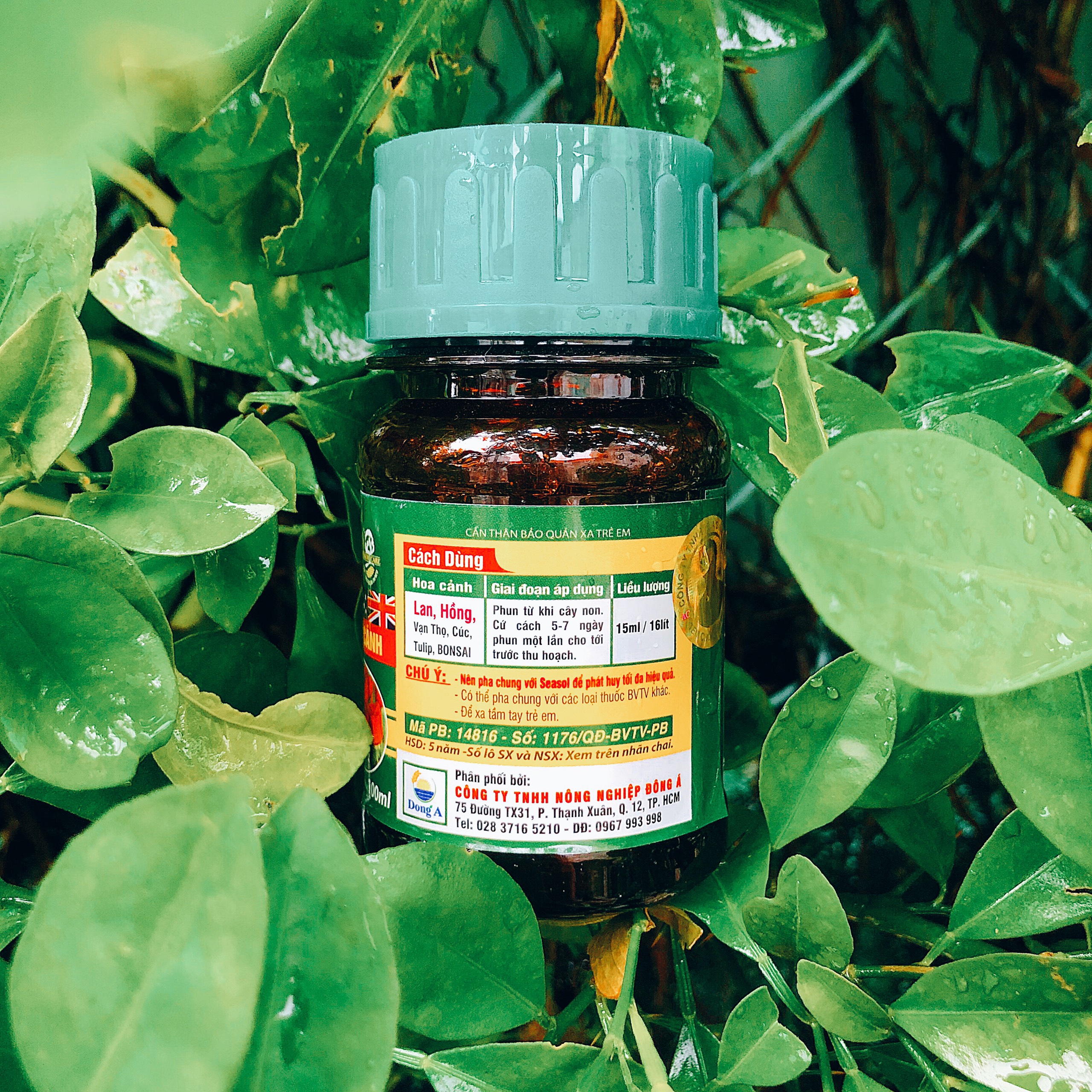 Phân Cá PowerFeed Mập mầm-To hoa- Dày cánh - 100 ml