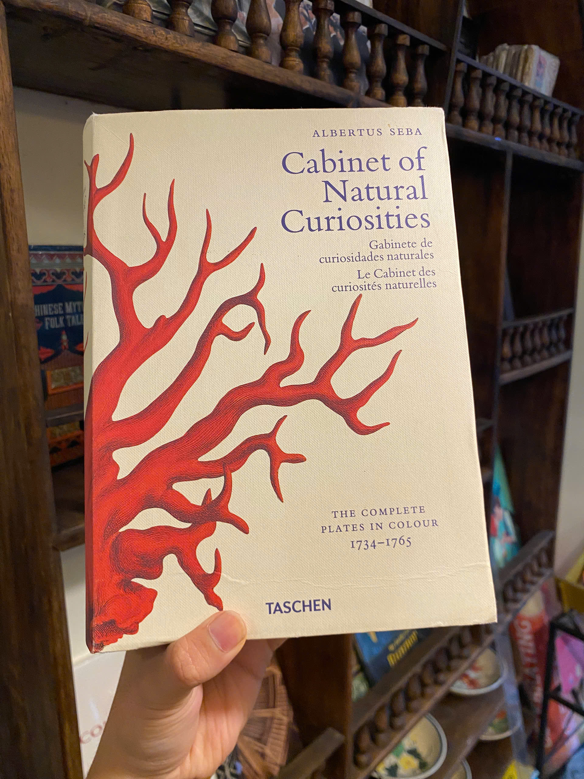 Sách - Cabinet of Natural Curiosities by Albertus Seba | Natural History - English Science Book