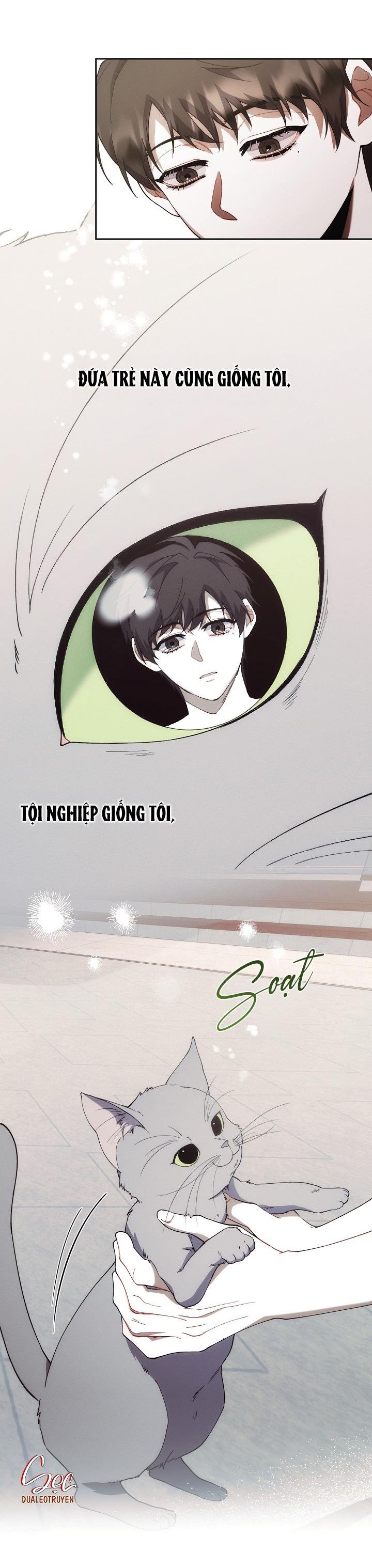 red mansion chapter 36 39