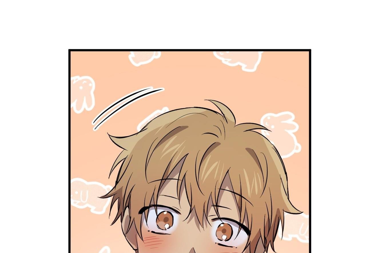 những chú thỏ của hapypy chapter 60 109