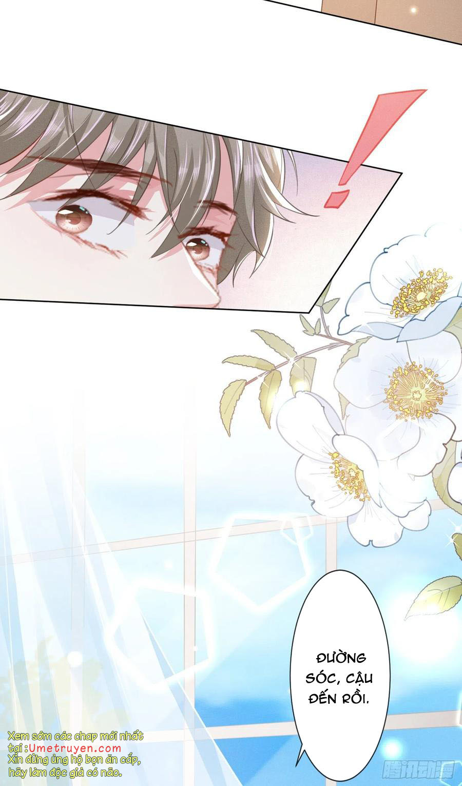 anh ấy gọi tôi là hắc liên hoa chapter 82 15