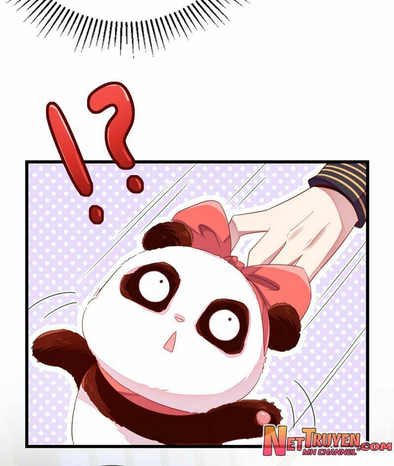 thiên thần gấu trúc muốn được ôm chapter 25 6