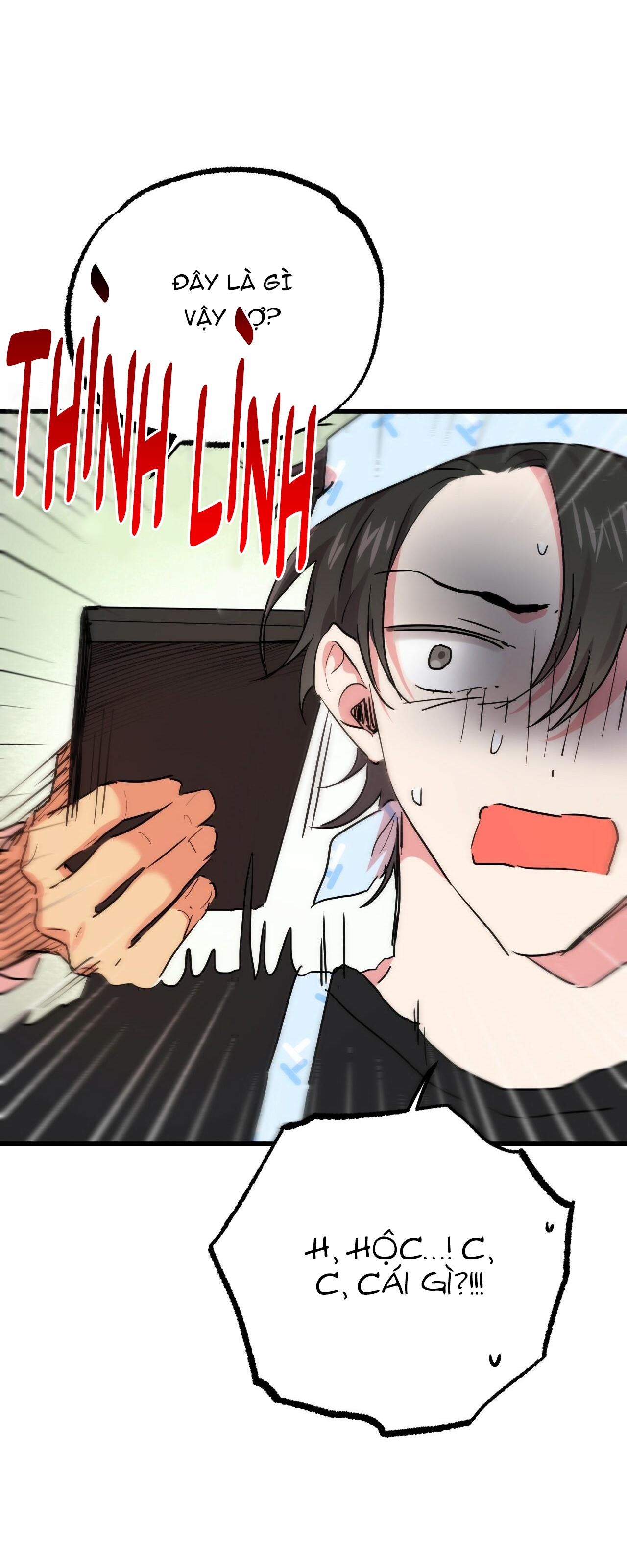 những chú thỏ của hapypy chapter 12 8