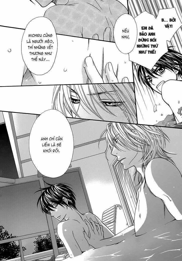 nekoka danshi no shitsukekata chapter 9 31