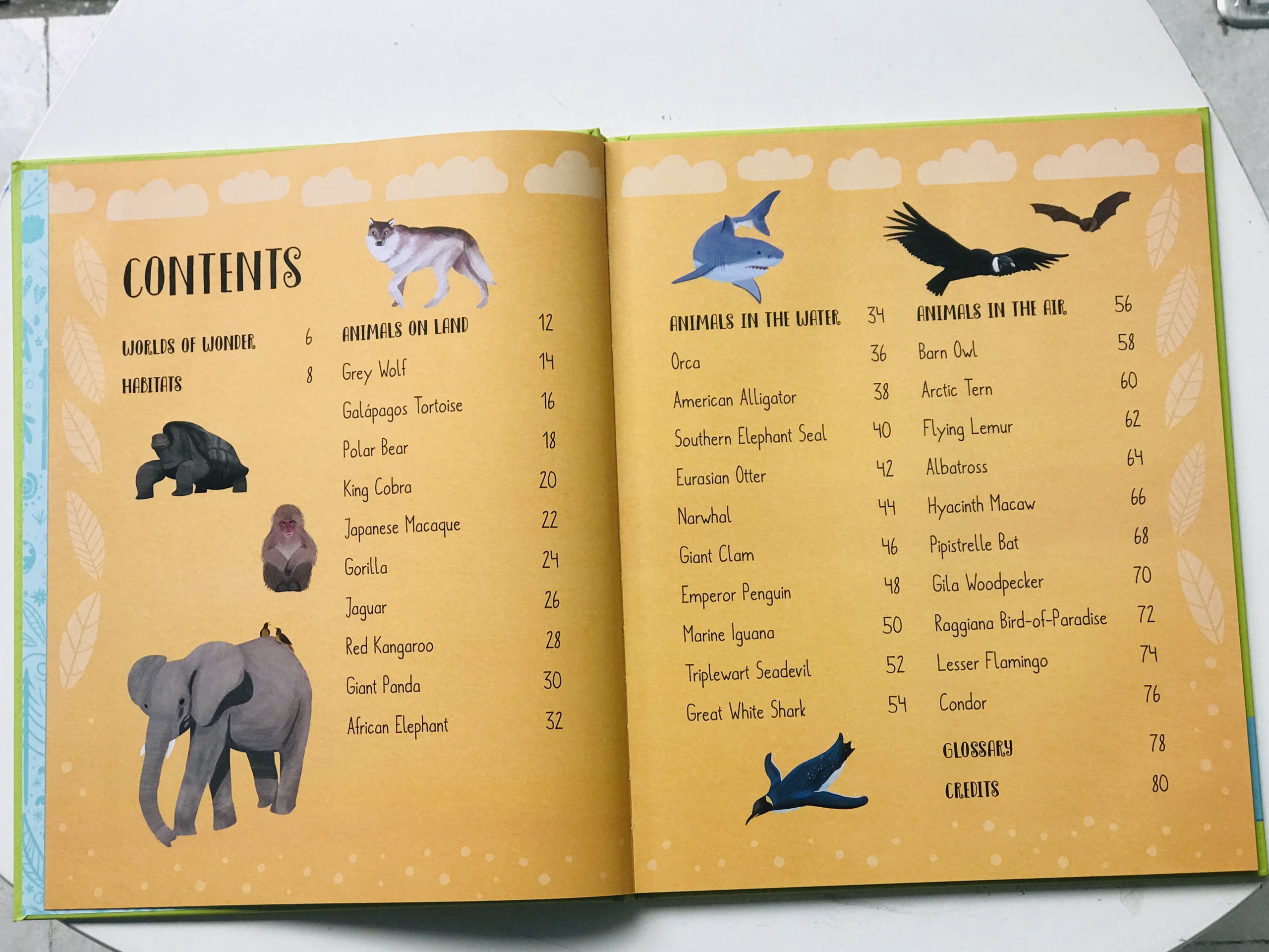 Sách Animal Worlds of Wonder ( Thế Giới Động Vật Diệu Kỳ ) - Cuốn Sách Như Chuyến Đi, Chào Mừng Các Bạn Nhỏ Đến Với Hành Trình Thăm Các Châu Lục Với Các Loài Động Vật Tuyệt Vời Nhất Trên Thế Giới - Á Châu Books, Bìa Cứng, In Màu