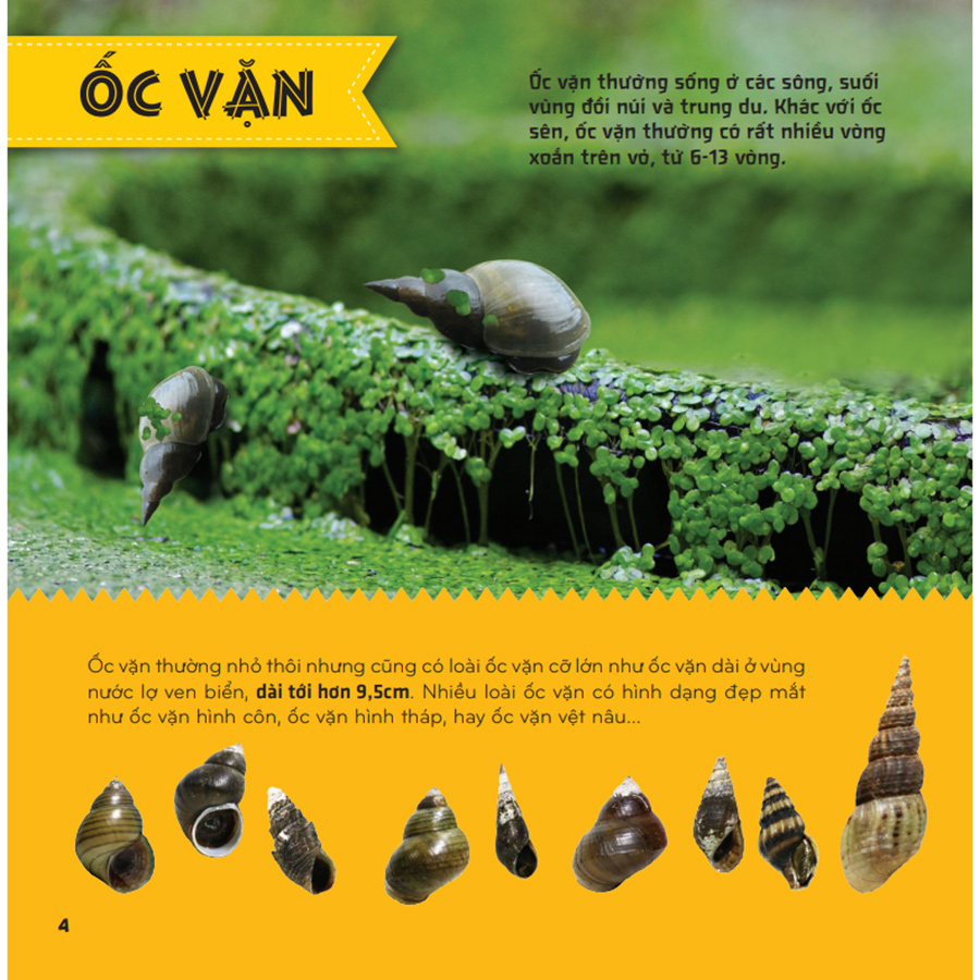 Bí Ẩn Thế Giới Loài Vật