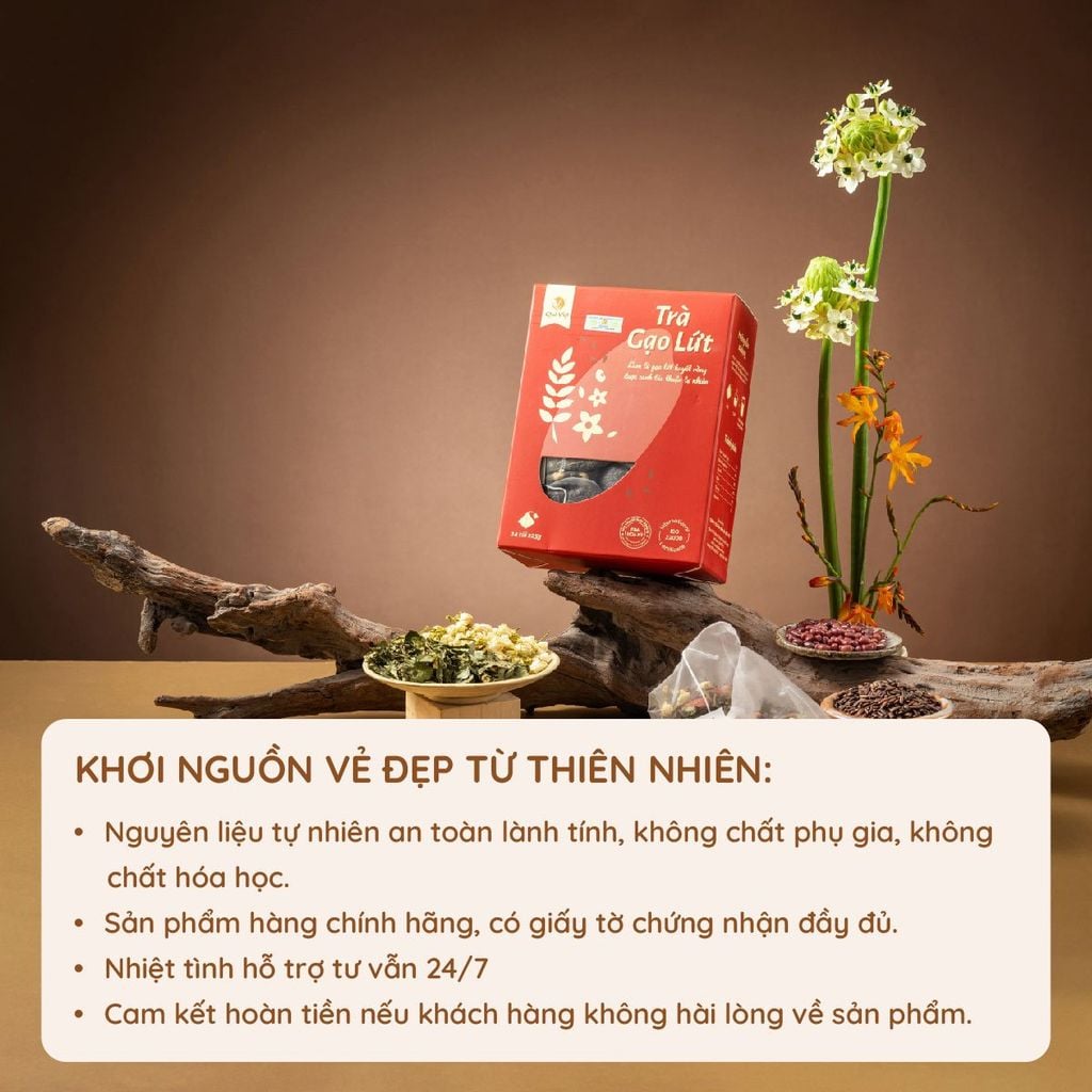 [CHÍNH HÃNG] Trà Hoa Cúc Khô Quê Việt Giúp An Thần, Ngủ Ngon, Giảm Căng Thẳng - Hộp 450g