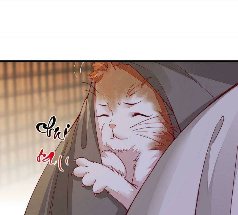 sát thủ vương phi không dễ chọc chapter 31 16