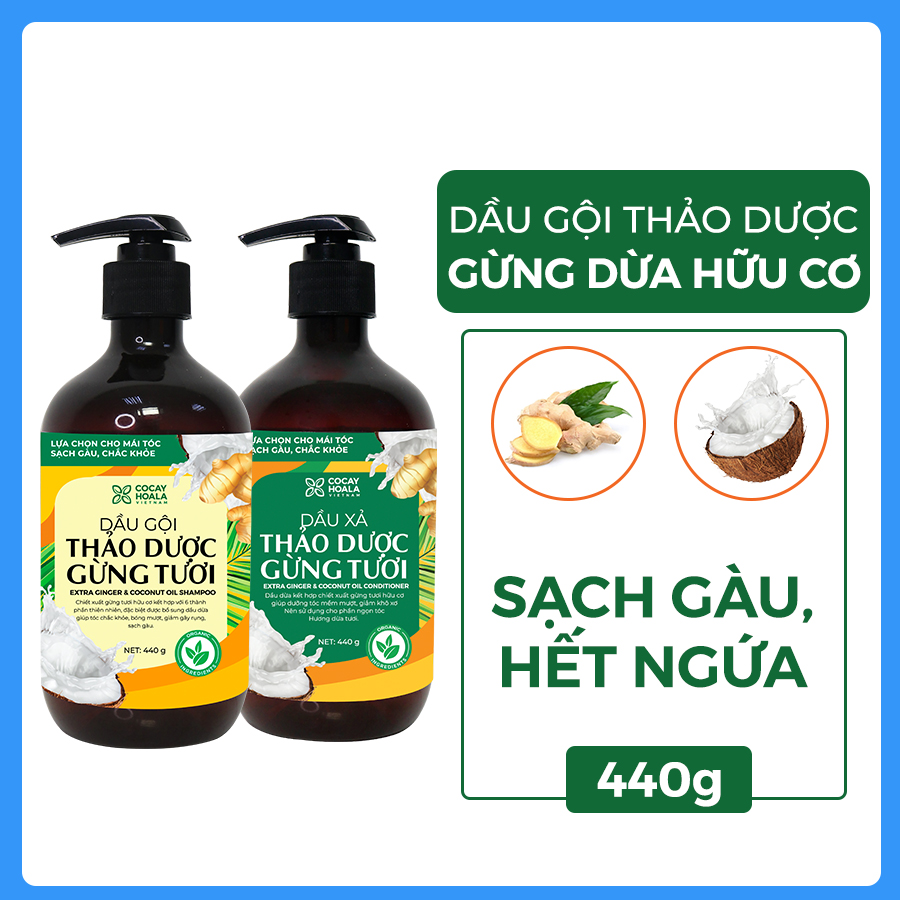 Combo 2 Dầu gội thảo dược gừng dừa Cocayhoala giảm rụng tóc, kích thích mọc tóc vượt trội, đặc biệt chăm sóc an toàn cho mẹ bầu mẹ sau sinh