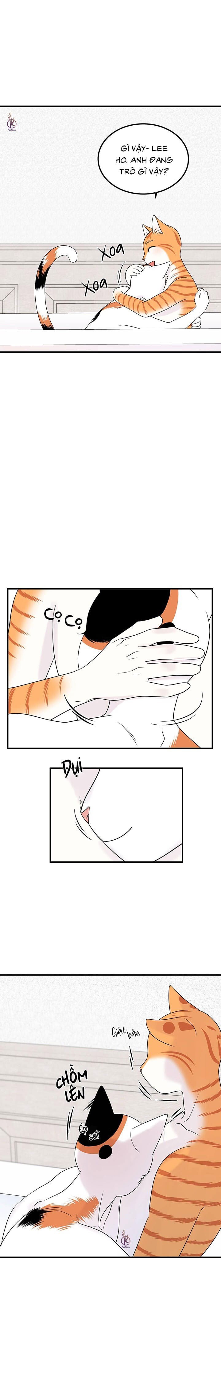 dự án xanh chapter 38 8